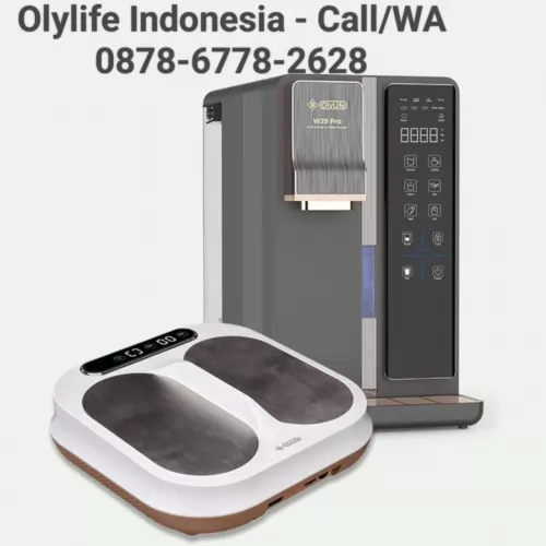 Olylife International Indonesia22